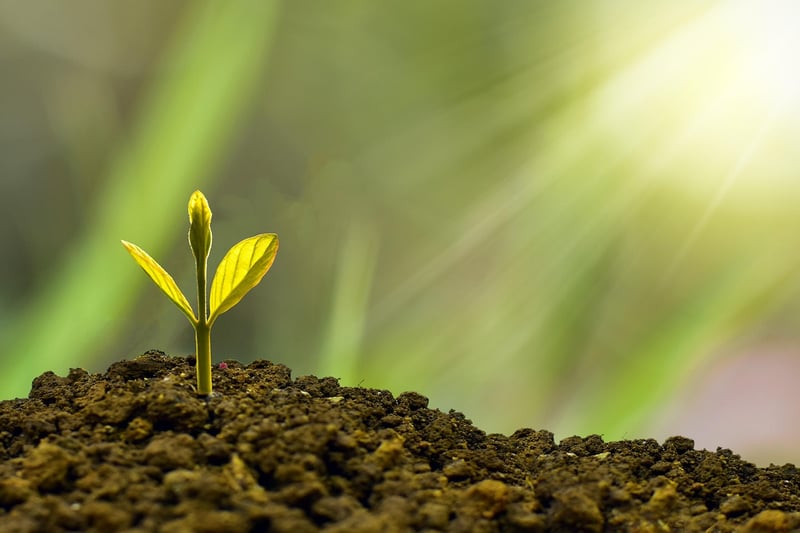 Sustainability Stories